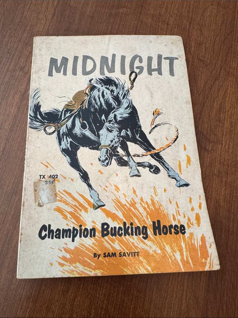 Midnight Champion Bucking Horse Vintage Book - Black & Orange Cover